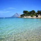 dauphins sardaigne