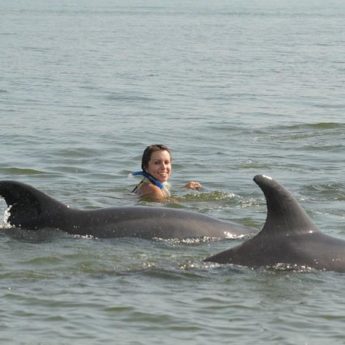 nager avec dauphins puerto vallarta mexique